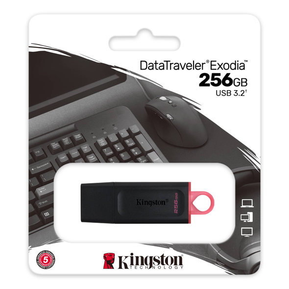 Kingston 256gb USB